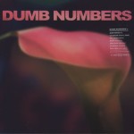 dumb-numbers